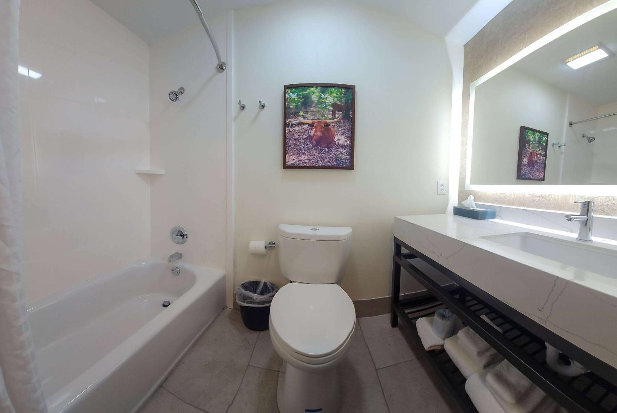 La Quinta By Wyndham Dallas